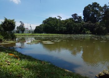 Jelajah Kebun Raya Bogor, Mulai Dari Mana Ya?