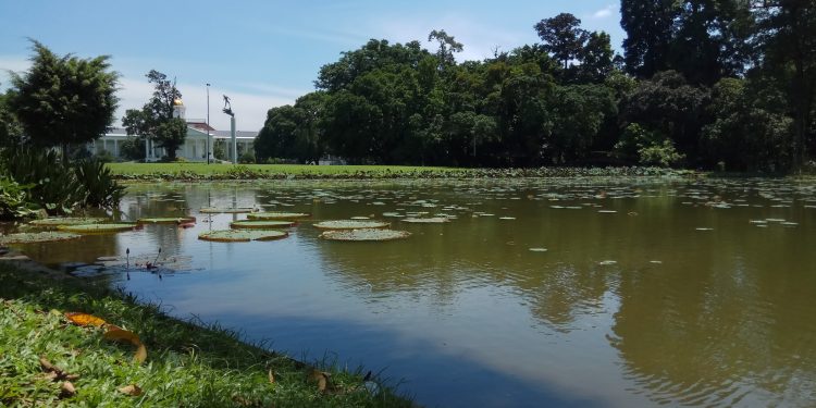 Jelajah Kebun Raya Bogor, Mulai Dari Mana Ya?